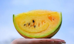 云南昆明吃瓜爆料,揭秘云南美食圈的那些事儿